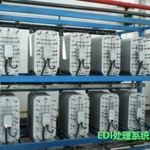 EDI Processing System
