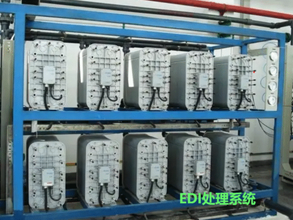 EDI Processing System