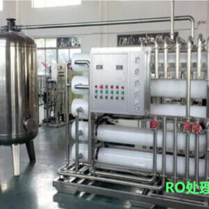 RO Processing System